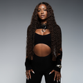 No. 17 HD Lace Wig