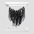 Afro Kinky Curly Bundle Set with 13x6 Frontal